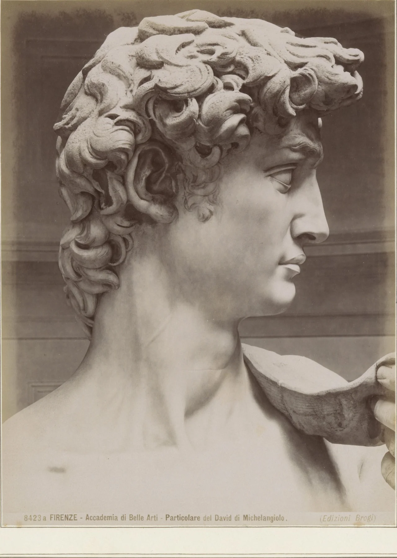 Michelangelo's David in the Galleria dell'Accademia, Florence — the head and shoulders in profile, photographed in the 19th century