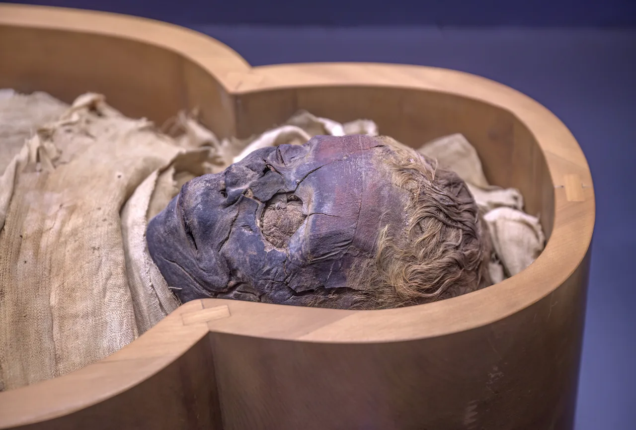 An ancient Egyptian mummy displayed in the Vatican Museums' Gregorian Egyptian Museum